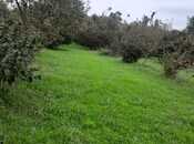 Продаётся  участок 40 сот, photo 6 from 7