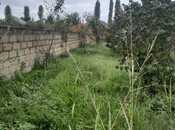 Объявление №5562702 - Габала, Габала, 40 сот