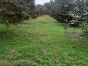 Продаётся  участок 40 сот, photo 5 from 7