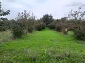 Продаётся  участок 40 сот, photo 2 from 7