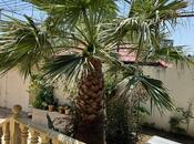 Satılır 4 otaqlı həyət evi/bağ evi 250 m², 7-ci mikrorayon q., photo 7 from 8