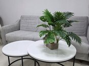 Сдаётся 2-комн. вторичка 60 м², м. Элмляр Академиясы, photo 8 from 8