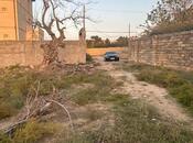 Satılır  torpaq 5.8 sot, Novxanı q., photo 2 from 7