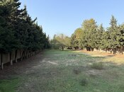 Satılır  torpaq 18 sot, Bilgəh q., photo 2 from 5