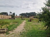 Продаётся  участок 46 сот, пос. Бузовна, photo 5 from 8