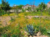 Продаётся  участок 10 сот, пос. Новханы, photo 5 from 8