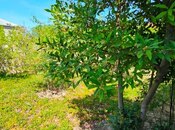 Объявление №5573700 - Баку, пос. Новханы, 10 сот