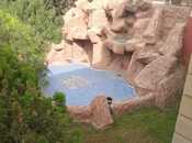 Продаётся 8-комн. дом/дача 300 м², пос. Новханы, photo 6 from 8