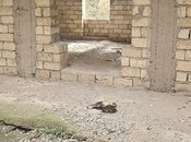 Satılır  torpaq 24 sot, Bakıxanov q., photo 5 from 8