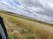 Продаётся  участок 4 100 сот, photo 7 from 8