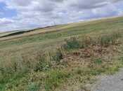 Продаётся  участок 4 100 сот, photo 8 from 8