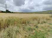 Продаётся  участок 4 100 сот, photo 6 from 8