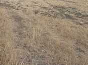 Satılır  torpaq 6 400 sot, photo 8 from 8