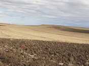 Elan №5577017 - Qobustan, Qobustan, 6400 sot