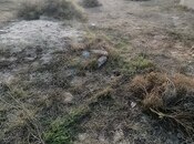 Продаётся  участок 12 сот, пос. Тюркан, photo 2 from 8