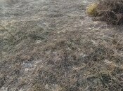 Продаётся  участок 12 сот, пос. Тюркан, photo 5 from 8