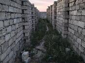 Продаётся  участок 6 сот, пос. Говсан, photo 3 from 8