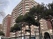 5 otaqlı yeni tikili - Nəsimi r. - 256 m²