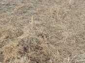 Satılır  torpaq 20 978.9 sot, photo 8 from 8