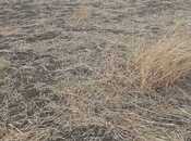 Satılır  torpaq 20 978.9 sot, photo 3 from 8