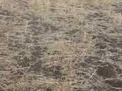 Продаётся  участок 3 939 сот, photo 4 from 8