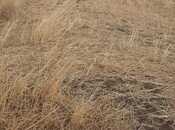 Продаётся  участок 3 939 сот, photo 5 from 8