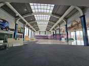 Сдаётся  объект 3 250 м², пос. Геокмалы, photo 6 from 8