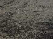 Продаётся  участок 63 362.2 сот, photo 8 from 8