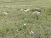 Продаётся  участок 63 362.2 сот, photo 6 from 8