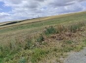 Продаётся  участок 63 362.2 сот, photo 4 from 8