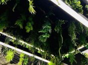 İcarəyə verilir 3 otaqlı yeni tikili 146 m², 8 Noyabr m., photo 5 from 8