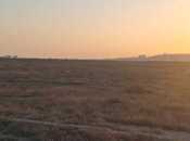 Продаётся  участок 548 сот, пос. Говсан, photo 4 from 5