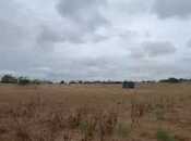 Продаётся  участок 548 сот, пос. Говсан, photo 5 from 5