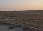 Продаётся  участок 548 сот, пос. Говсан, photo 3 from 5