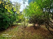 Satılır  torpaq 24 sot, Bilgəh q., photo 2 from 8