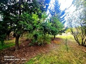 Satılır  torpaq 24 sot, Bilgəh q., photo 3 from 8