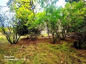 Satılır  torpaq 24 sot, Bilgəh q., photo 4 from 8