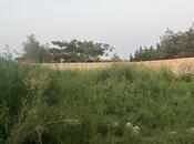 Elan №5589762 - Bakı, Bilgəh q., 7.2 sot