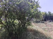 Satılır  torpaq 12 sot, Bilgəh q., photo 8 from 8