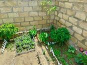 Продаётся 5-комн. дом/дача 200 м², пос. Ени Ясамал, photo 6 from 8