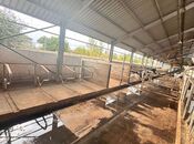 Satılır  obyekt 3 000 m², Xaçmaz r., photo 6 from 8