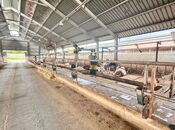 Satılır  obyekt 3 000 m², Xaçmaz r., photo 8 from 8