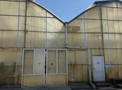 Продаётся  участок 290 сот, пос. Фатмаи, photo 8 from 8