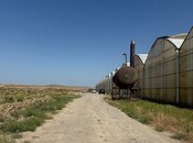 Продаётся  участок 290 сот, пос. Фатмаи, photo 6 from 8