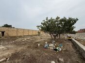 Объявление №5601532 - Баку, пос. Мардакан, 4.5 сот