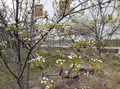 Satılır 6 otaqlı həyət evi/bağ evi 360 m², Xaçmaz r., photo 3 from 8