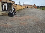 Elan №5602381 - Masallı, Masallı, 5 sot