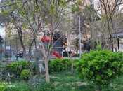 Elan №5603326 - Bakı, Yeni Günəşli q., 2 otaqlı, 50 m², 9/9 mərtəbə