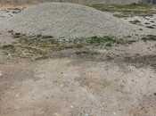 Продаётся  участок 125 сот, пос. Говсан, photo 5 from 7