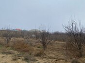 Продаётся  участок 50 сот, пос. Мехтиабад, photo 8 from 8
